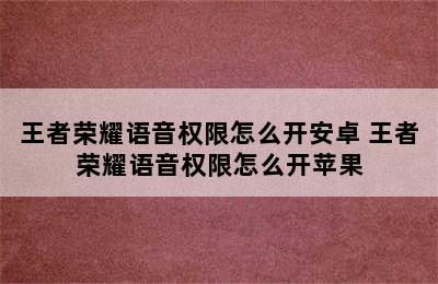 王者荣耀语音权限怎么开安卓 王者荣耀语音权限怎么开苹果